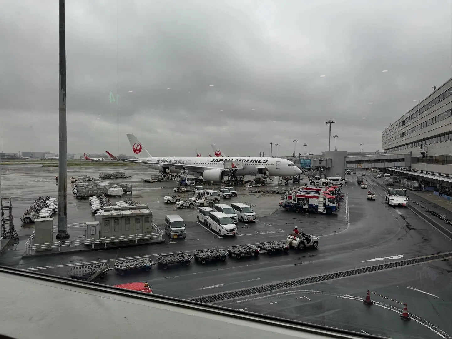 今日は静岡、今日は東京でお仕事